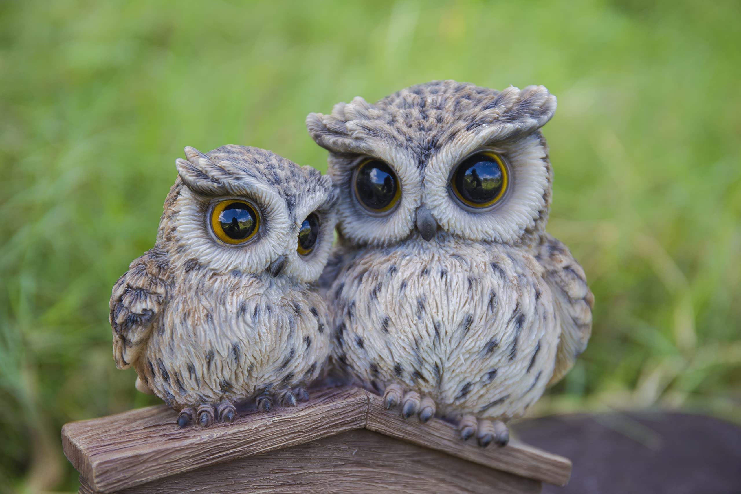 Amazon.com: Hi-Line Gift Mother & Baby Owl Welcome Sign